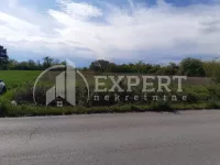 Pasi Poljana, Palilula, Gradske lokacije, Niš | 4zida.rs