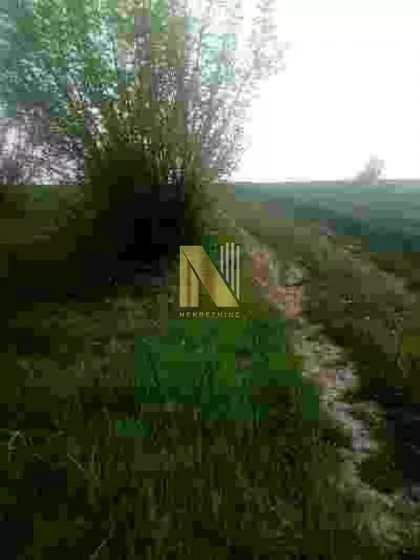 Čortanovci | 4zida.rs