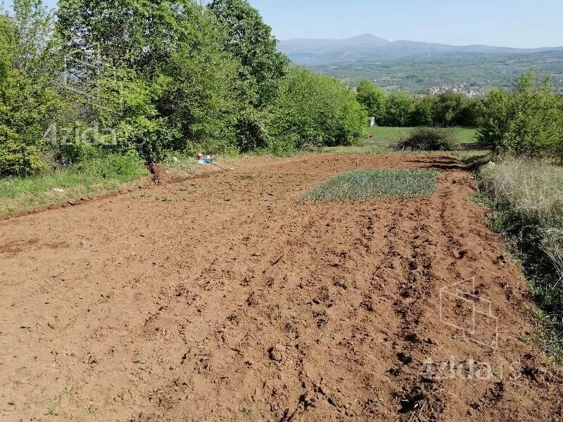 Plac | 4zida