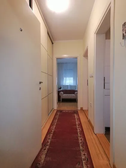 Nova Detelinara | 4zida.rs