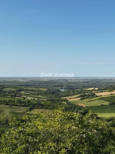 Čortanovci