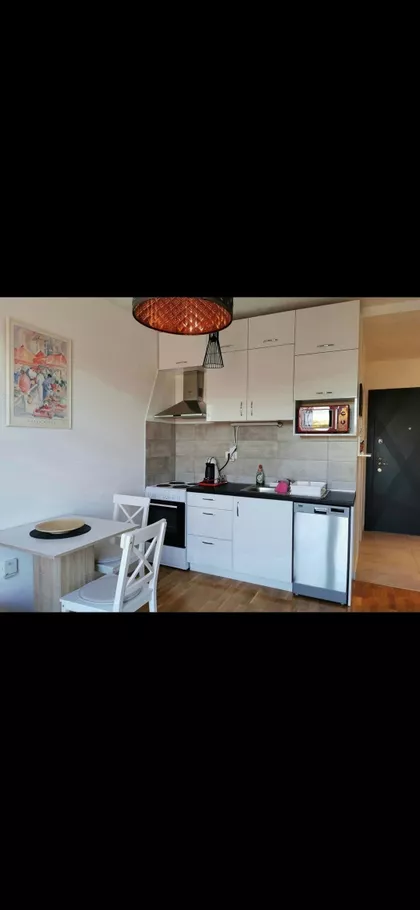 Lajoša Joa 46 | 4zida.rs