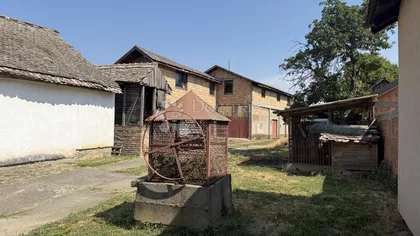 Uče Zekovića | 4zida.rs