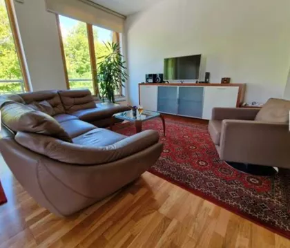 Teodora Drajzera | 4zida.rs