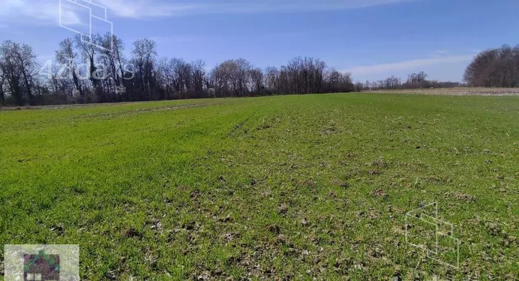 Poljoprivredno zemljište | 4zida