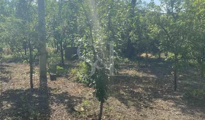 Poljoprivredno zemljište | 4zida