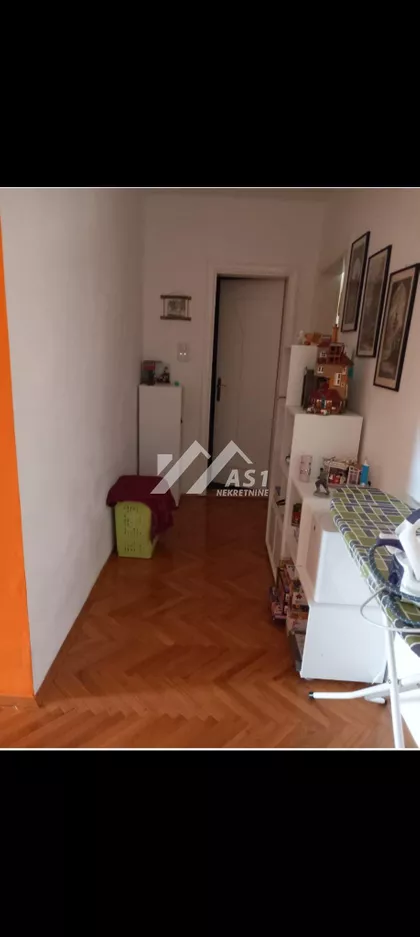 Miše Dimitrijevića | 4zida.rs