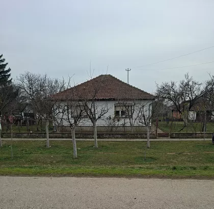 Dalmatinska 11 | 4zida.rs