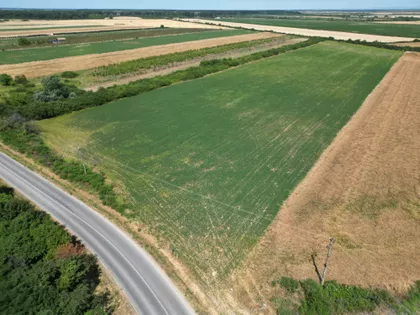 Dvanaestog Avgusta | 4zida.rs