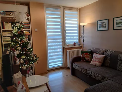 Đure Daničića | 4zida.rs