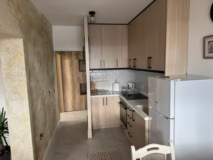 Ulofa Palmea | 4zida.rs