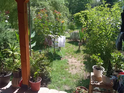 Dejana Smiljkovića | 4zida.rs