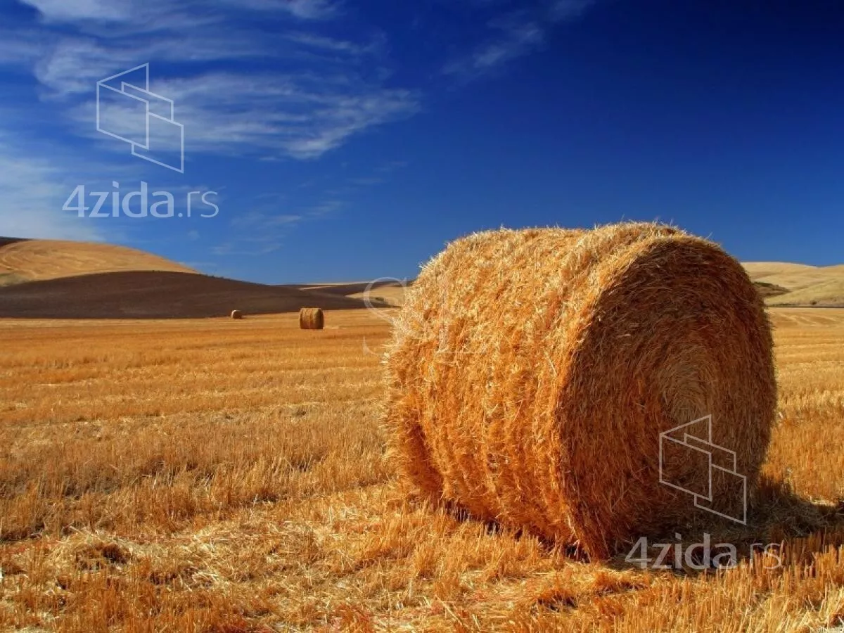 Poslovna zgrada | 4zida