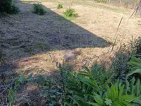 Klisa, Gradske lokacije, Novi Sad | 4zida.rs
