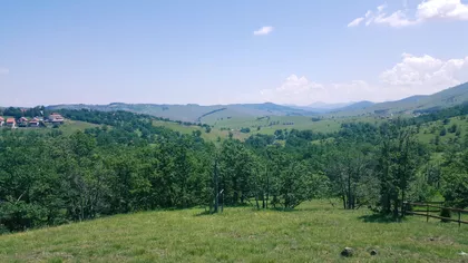 Jelje | 4zida.rs