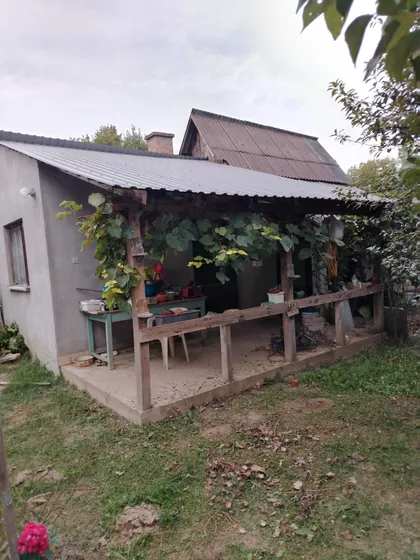 Glušci | 4zida.rs