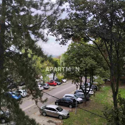 Darinke Radović | 4zida.rs