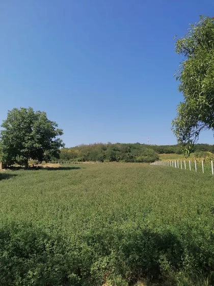 Lipovački Put | 4zida.rs