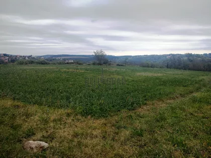 Potez Žuti Breg | 4zida.rs