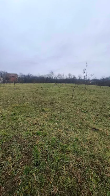 Trg Fontana | 4zida.rs