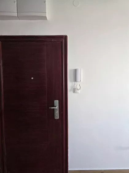 Predraga Tomića | 4zida.rs