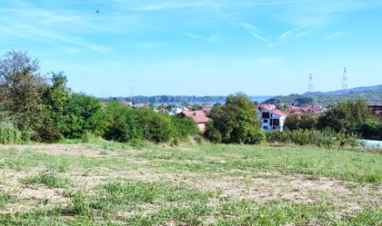 Paje Jovanovića | 4zida.rs
