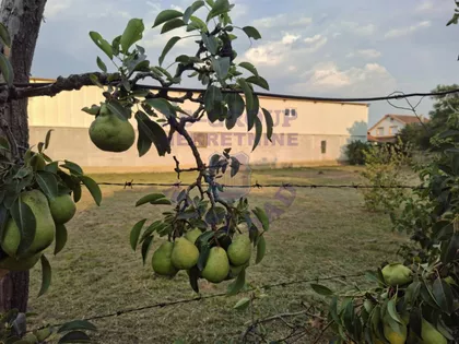 Kovilj | 4zida.rs