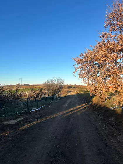 Kopilovačka | 4zida.rs