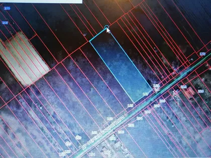 Srpski Šor | 4zida.rs