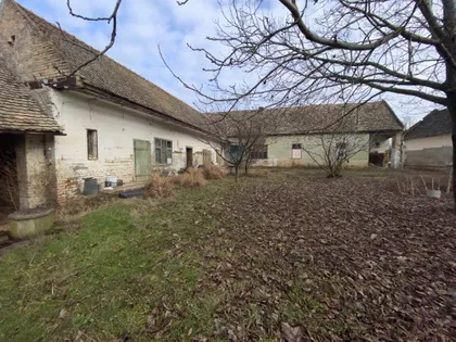 Bačko Dobro Polje | 4zida.rs