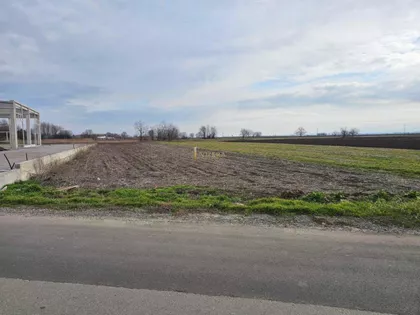 Kisač | 4zida.rs