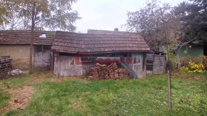 Palić | 4zida.rs