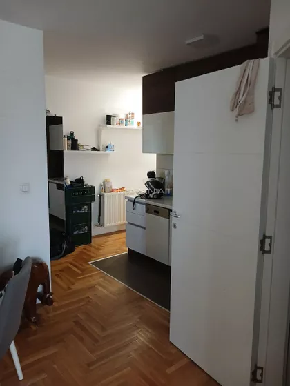 Janka Katića | 4zida.rs