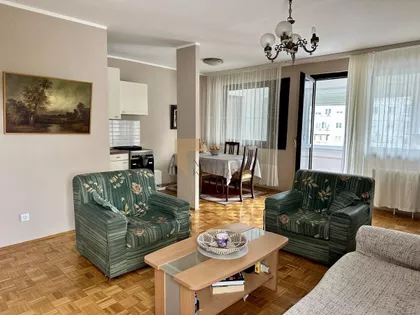 Dr Ivana Ribara | 4zida.rs