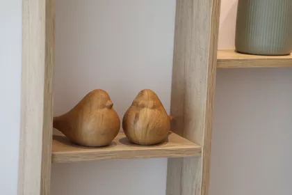 Tadije Sondermajera | 4zida.rs