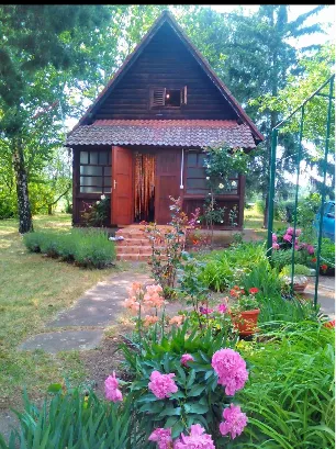Babatovo bb | 4zida.rs
