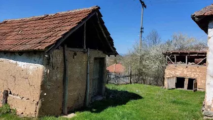 Dobro Polje | 4zida.rs