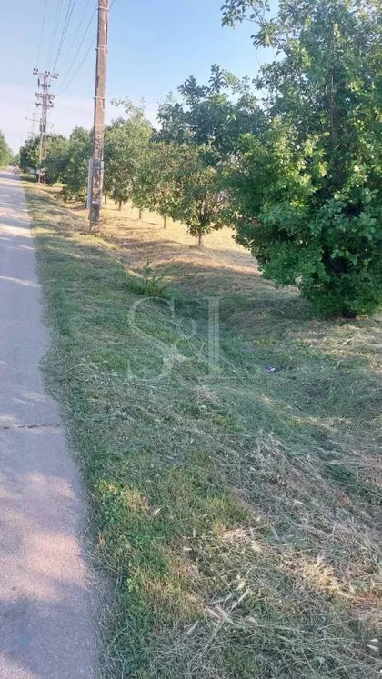 Svetozar Miletić | 4zida.rs