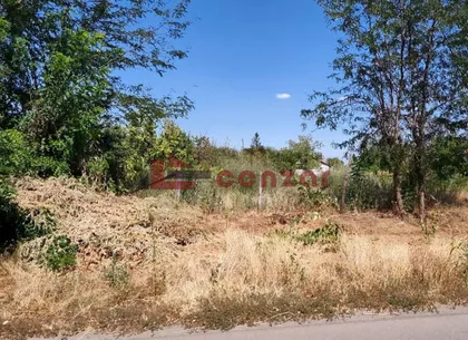 Zorka | 4zida.rs