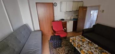 JANKA VESELINOVIĆA 42