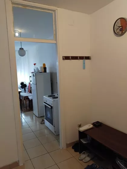 Majora Zorana Radosavljevića | 4zida.rs