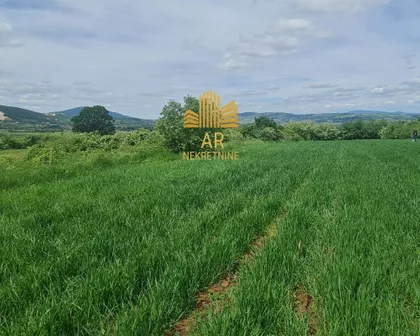 Lipovac  | 4zida.rs