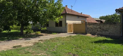 Pačir | 4zida.rs