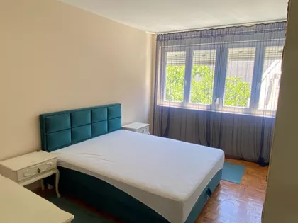 Čolak Antina 41 | 4zida.rs