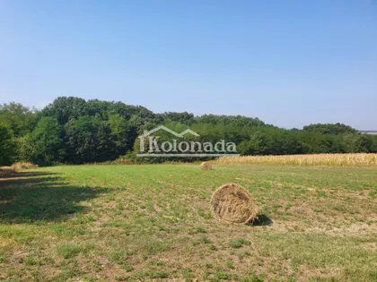 Nemenikuće | 4zida.rs