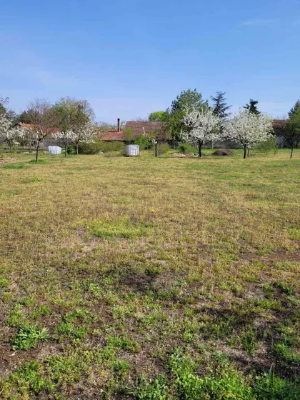 Darinke Radović 3 | 4zida.rs