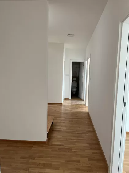 Jerneja Kopitara | 4zida.rs