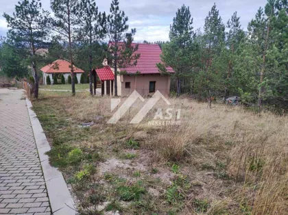 Crvenog gloga | 4zida.rs