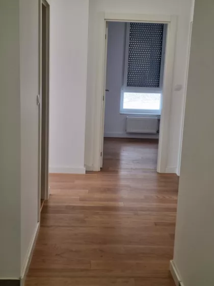 Cara Dušana | 4zida.rs