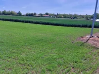 Belegiš, Okolne lokacije, Stara Pazova | 4zida.rs